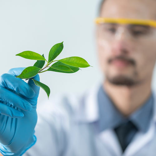 接種疫苗後導致陽萎/陽萎，徹底喪失性功能？這樣吃威而鋼副作用小不傷腎！